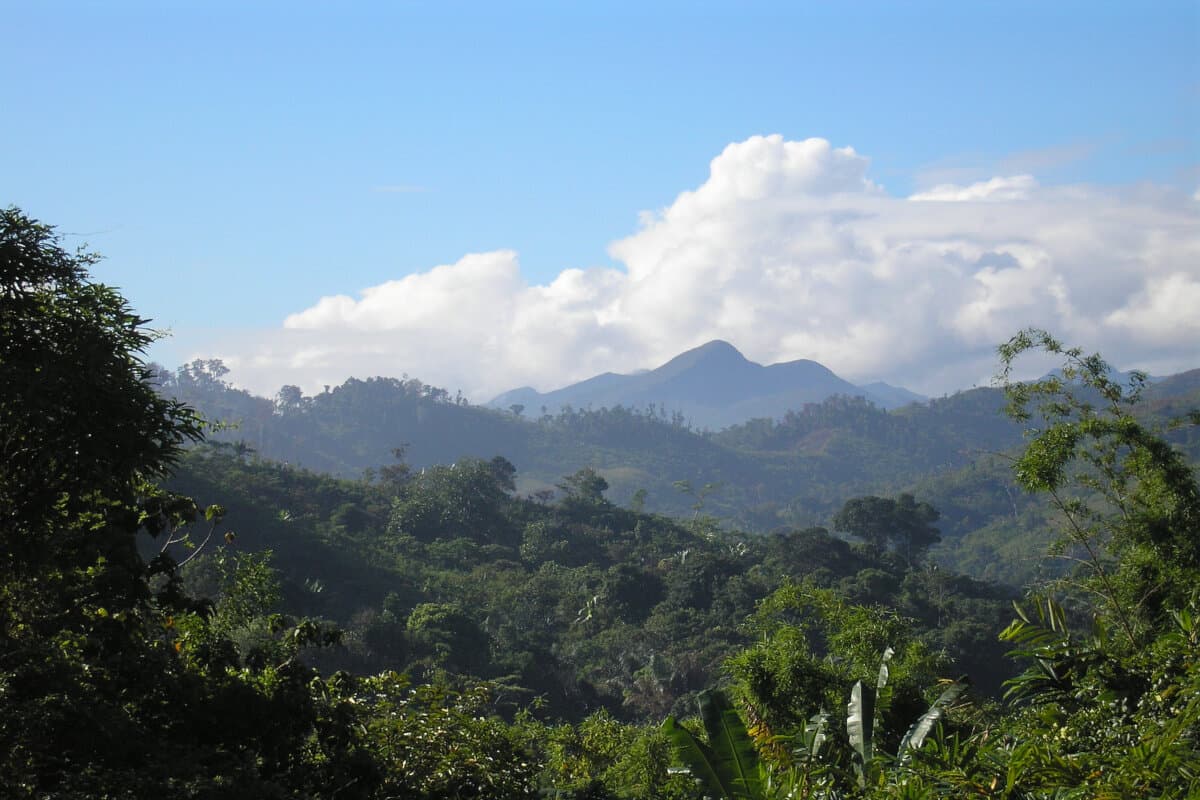 The Land of Sifaka — photo 2