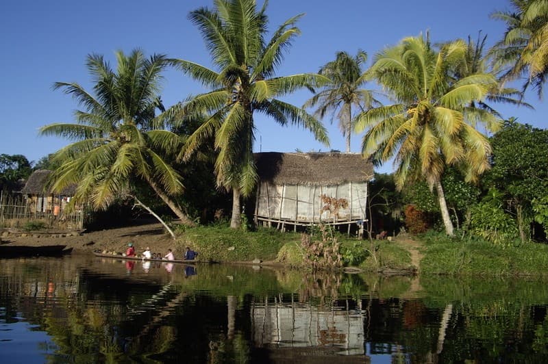 The Exotic East — photo 2