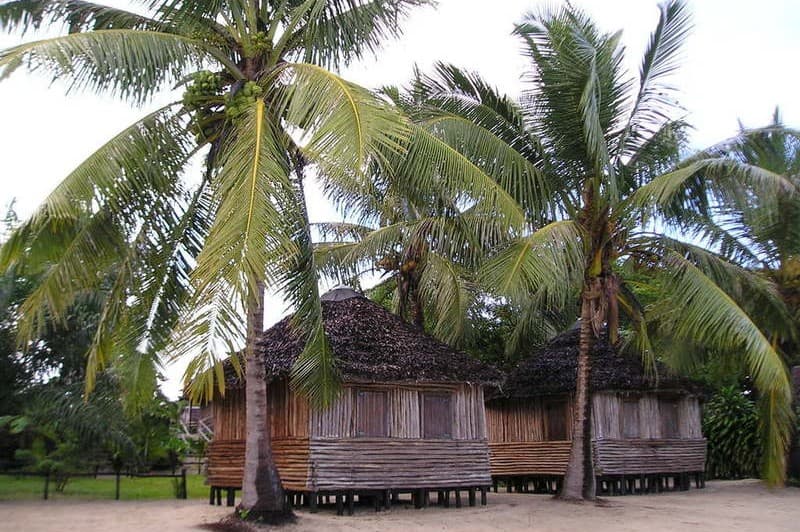 The Tropical East — photo 3
