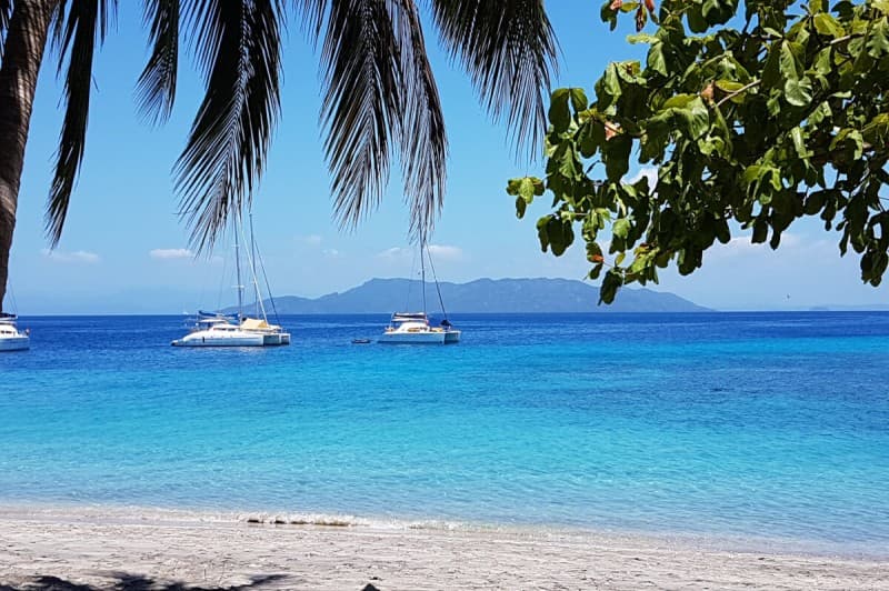 Lemurs and Beautiful Beaches in a Green Landscape — photo 6