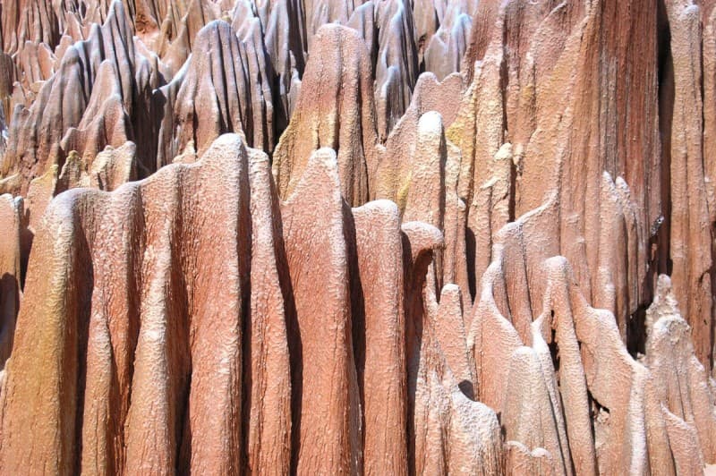 The Wonder of the North — photo 6