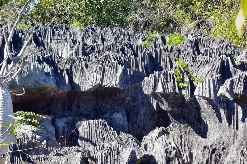 The Land of Baobabs and Lemurs — photo 5