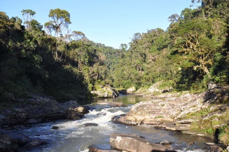 First Encounter with the Malagasy — photo 7