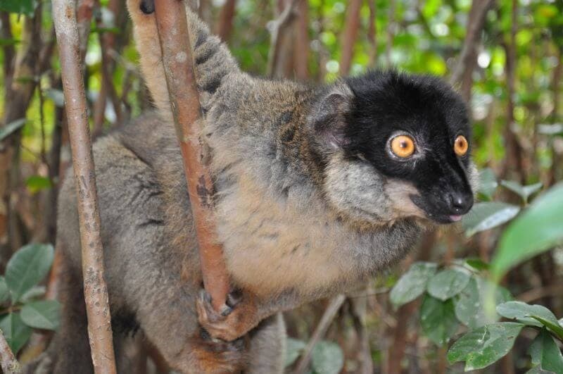 The Glowing Landscape of Madagascar — photo 6