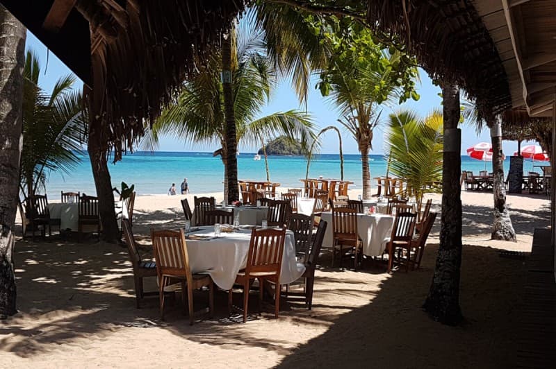 Lemurs and Beautiful Beaches in a Green Landscape — photo 8