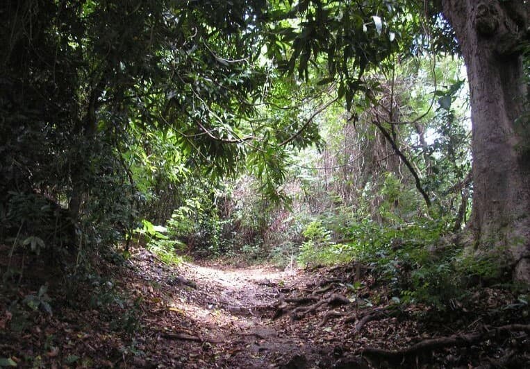 Prestigious Radama Islands — photo 8