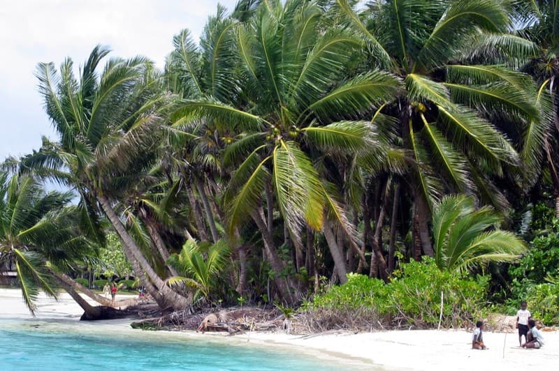 The Tropical East — photo 8