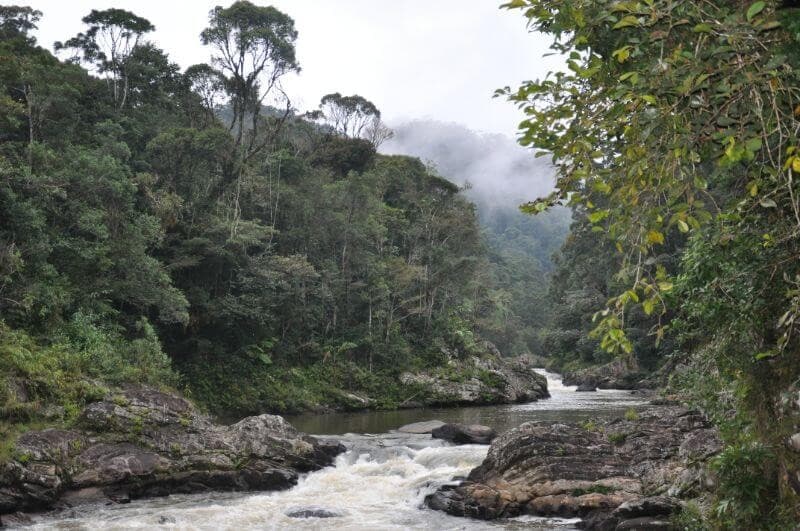 The Glowing Landscape of Madagascar — photo 7