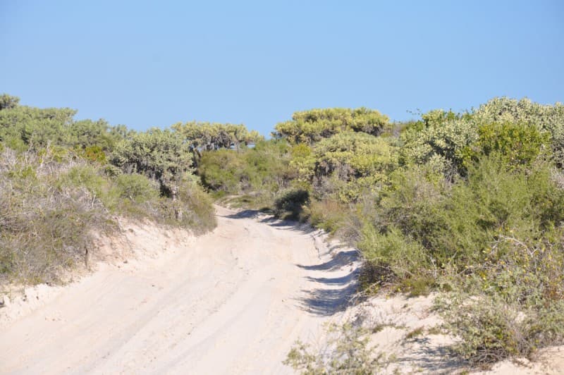 A Sanctuary of Peace in the Middle of the Sand Dunes — photo 6